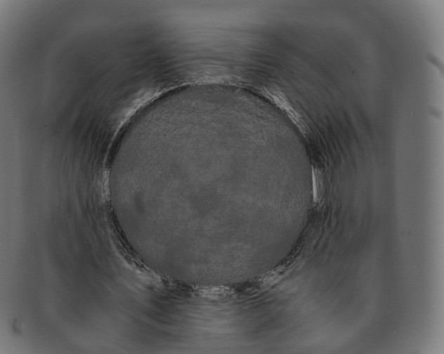 X0000091240579200709061542