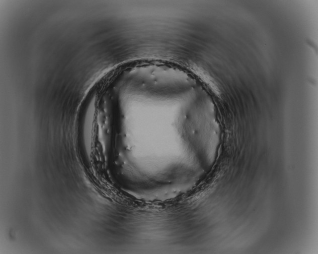 X0000091240580200709061542