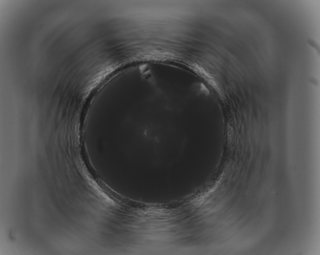 X0000091240581200709061542