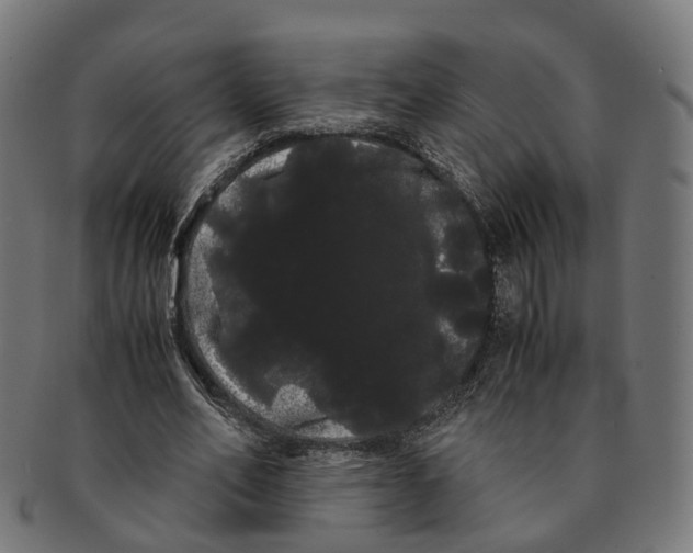 X0000091240582200709061542