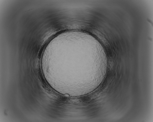 X0000091240583200709061542