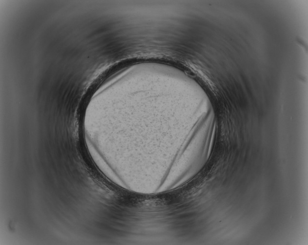 X0000091240584200709061542