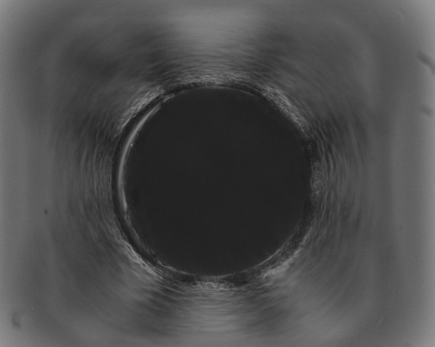 X0000091240585200709061542