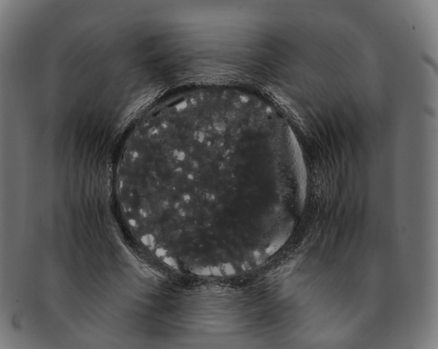 X0000091240586200709061542