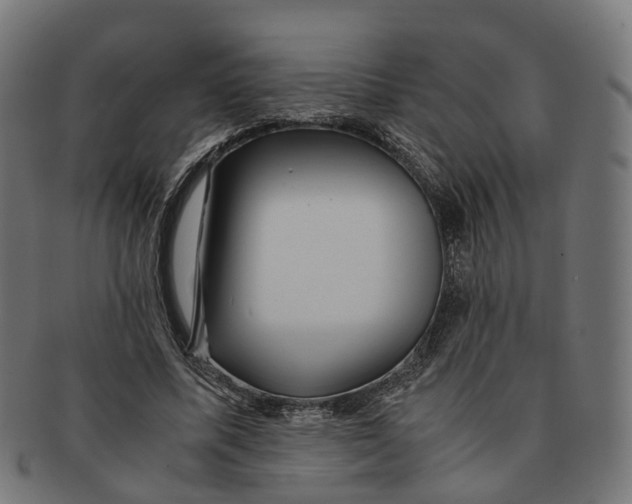 X0000091240587200709061542