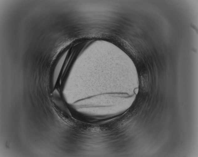 X0000091240588200709061542