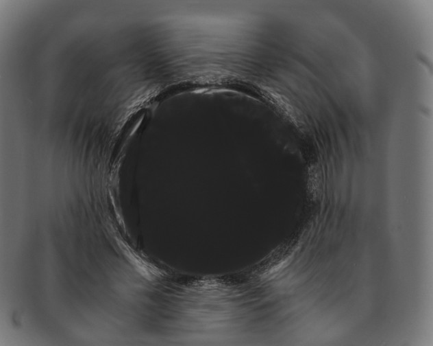 X0000091240589200709061542