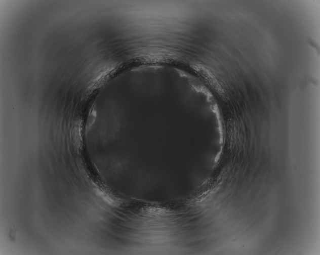 X0000091240590200709061542