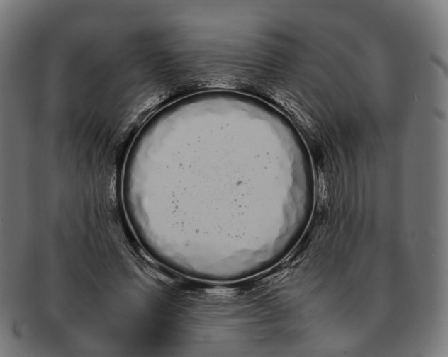 X0000091240591200709061542