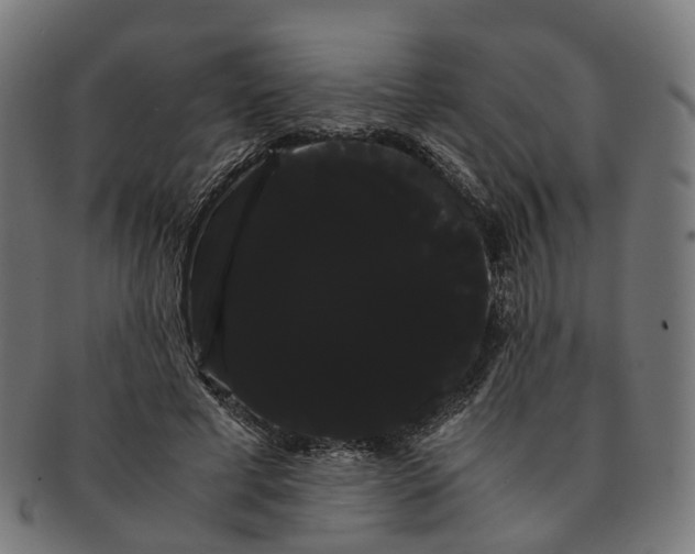 X0000091240593200709061541