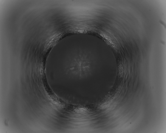 X0000091240594200709061541