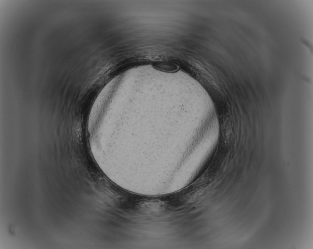 X0000091240595200709061541