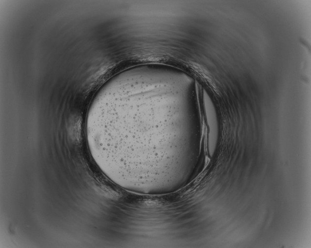 X0000091240596200709061541