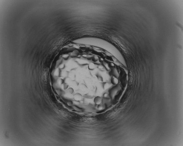 X0000091240597200709061541