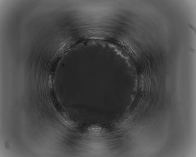 X0000091240598200709061541