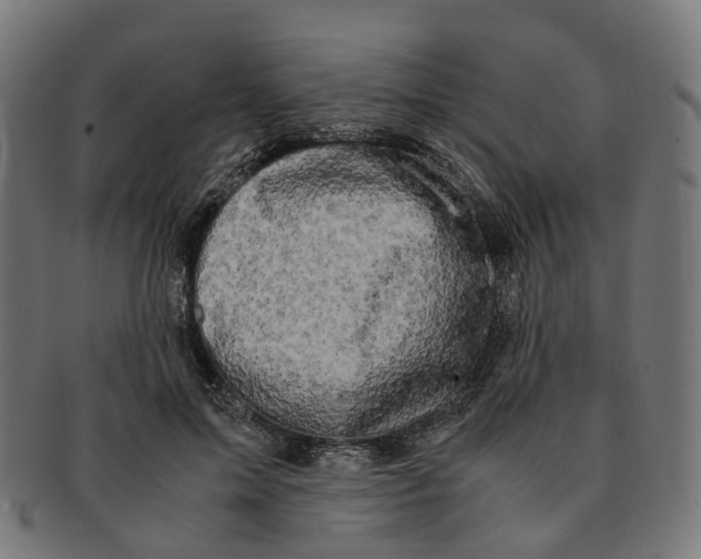 X0000091240599200709061541