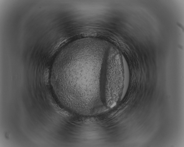 X0000091240600200709061541