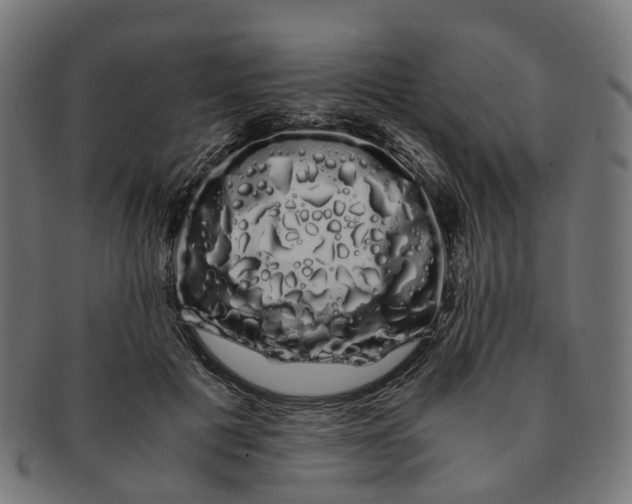 X0000091240601200709061541