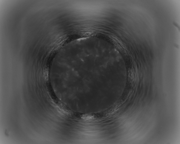 X0000091240602200709061541
