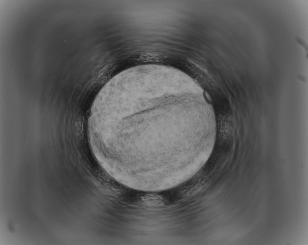 X0000091240603200709061541