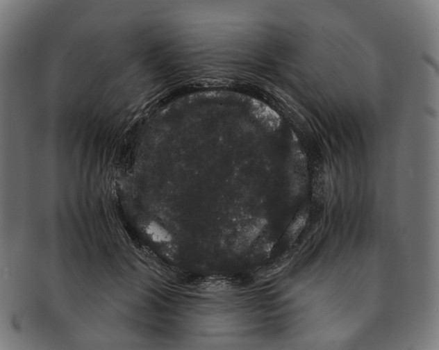 X0000091240604200709061541