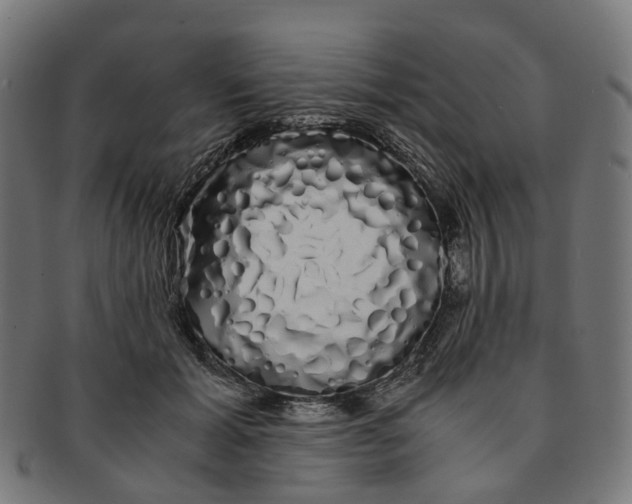 X0000091240605200709061541