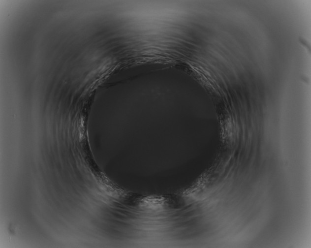 X0000091240606200709061541