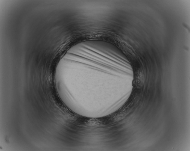 X0000091240608200709061541
