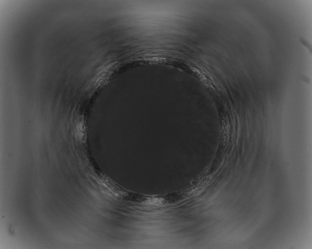 X0000091240609200709061541