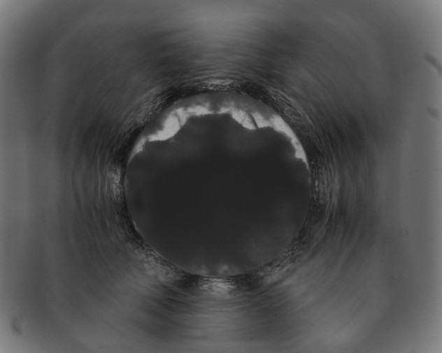 X0000091240610200709061541