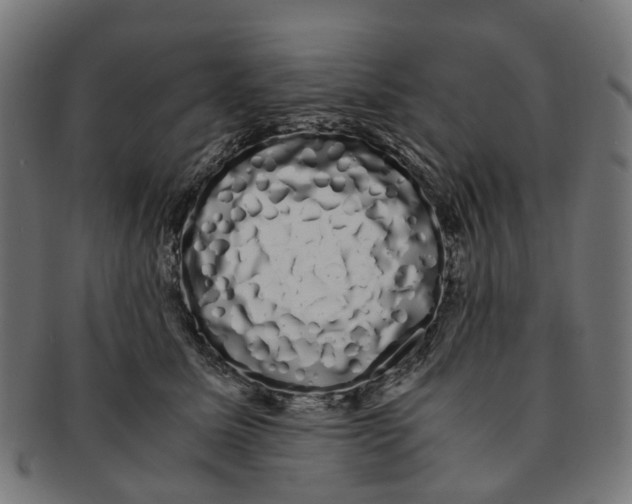 X0000091240611200709061541