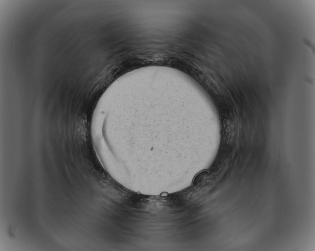 X0000091240612200709061541