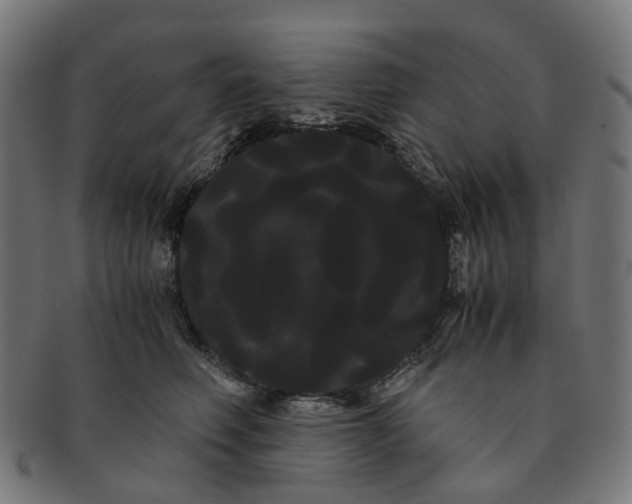 X0000091240614200709061541