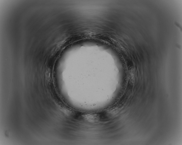 X0000091240615200709061541