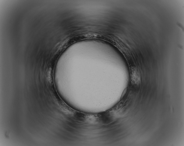 X0000091240616200709061541