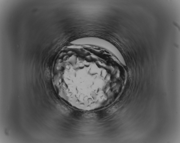 X0000091240617200709061541