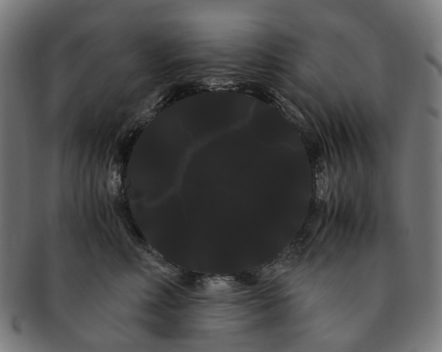 X0000091240618200709061541