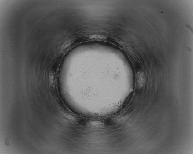 X0000091240619200709061541