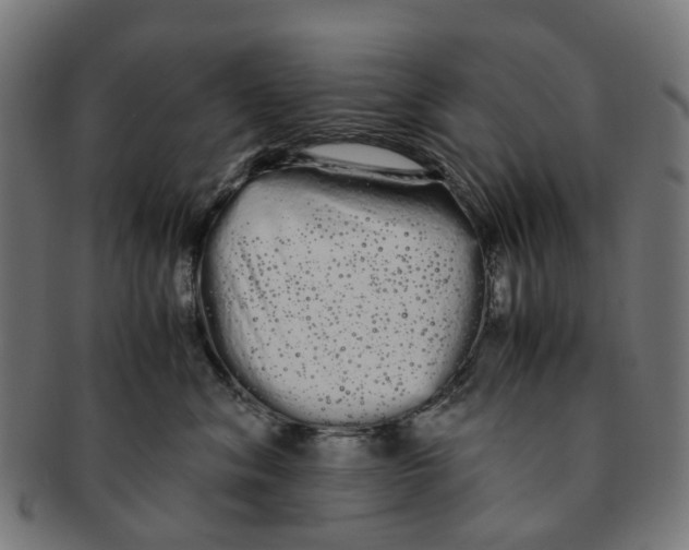 X0000091240620200709061541