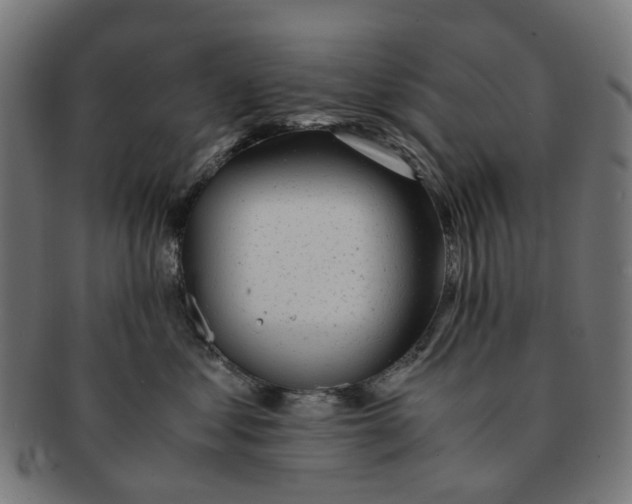 X0000091240621200709061541