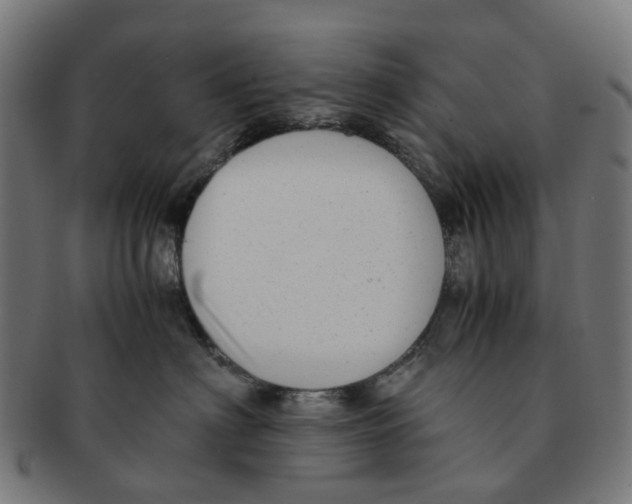 X0000091240622200709061541