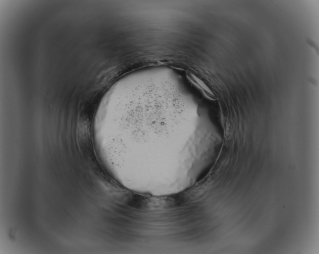X0000091240623200709061541