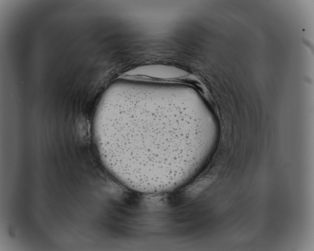 X0000091240624200709061541