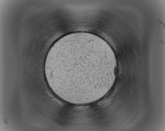 X0000091240625200709061541