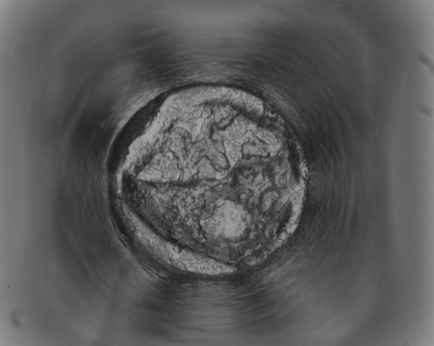 X0000091240626200709061541
