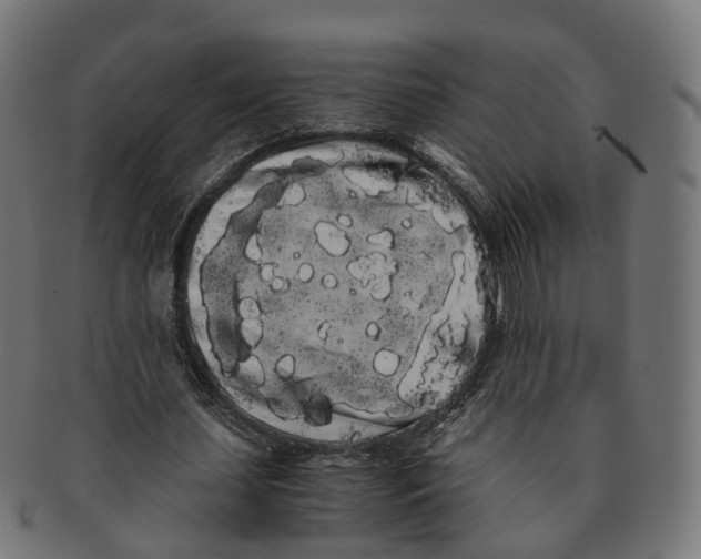 X0000091240627200709061541