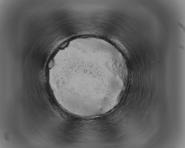 X0000091240628200709061541