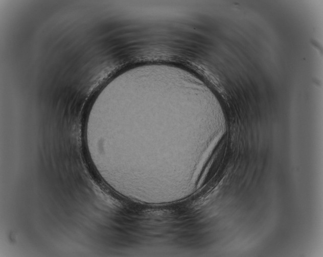 X0000091240629200709061541
