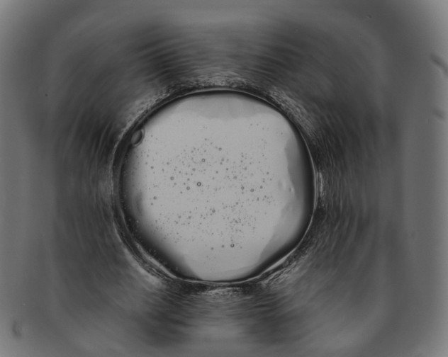 X0000091240630200709061541
