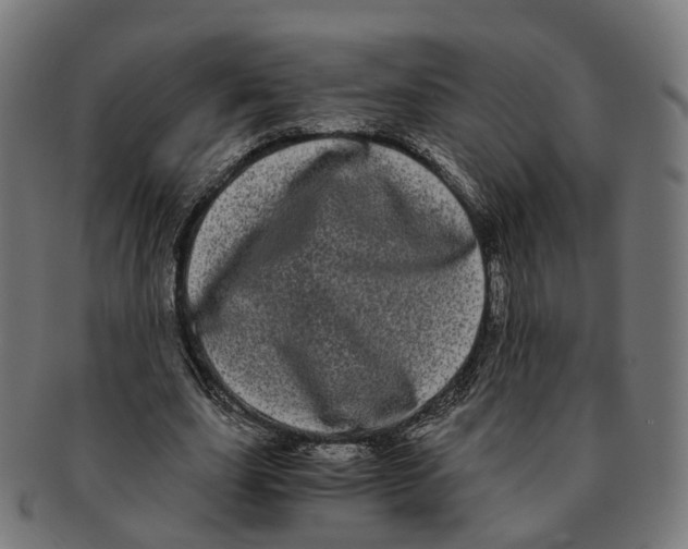 X0000091240631200709061541
